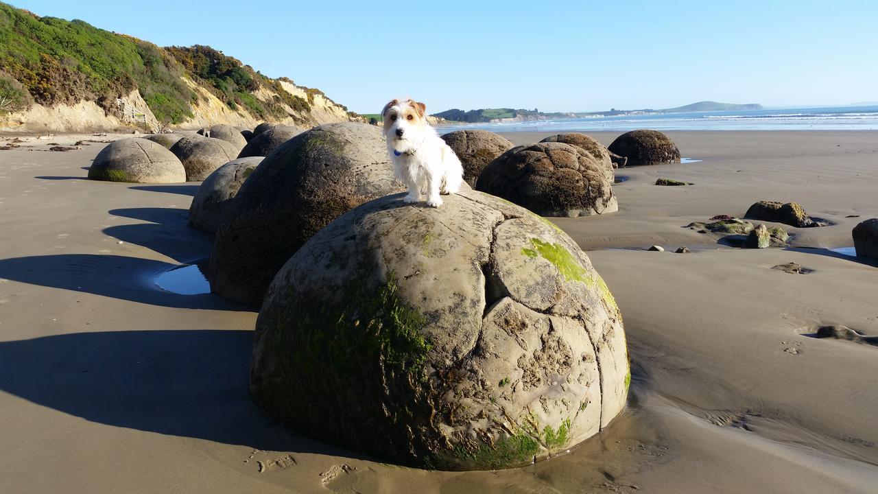 Moeraki Boulders *